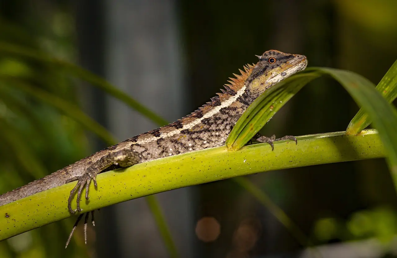 Medvirkende i Easy A