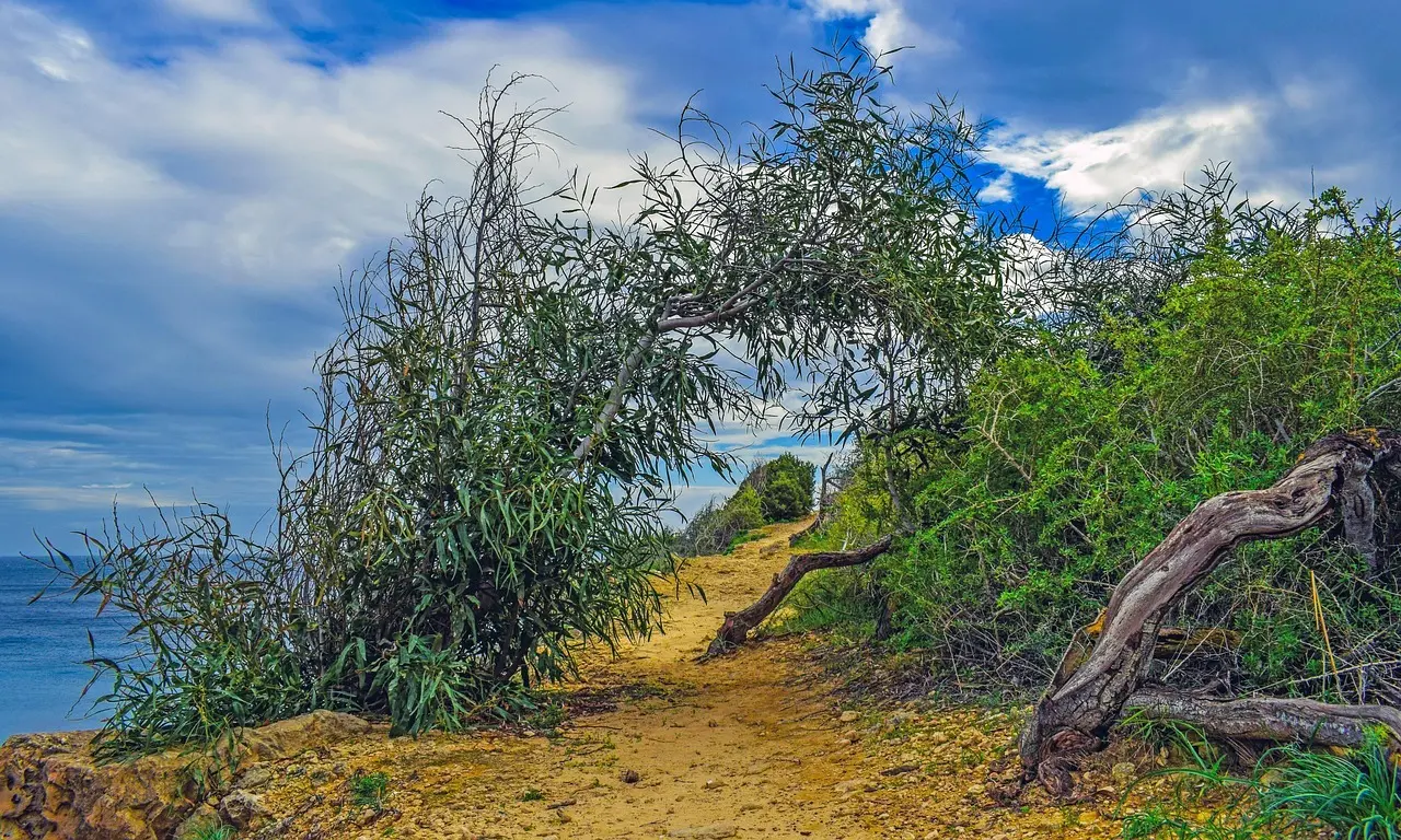 Hjælp for Græsk Kunstner i Krydsord