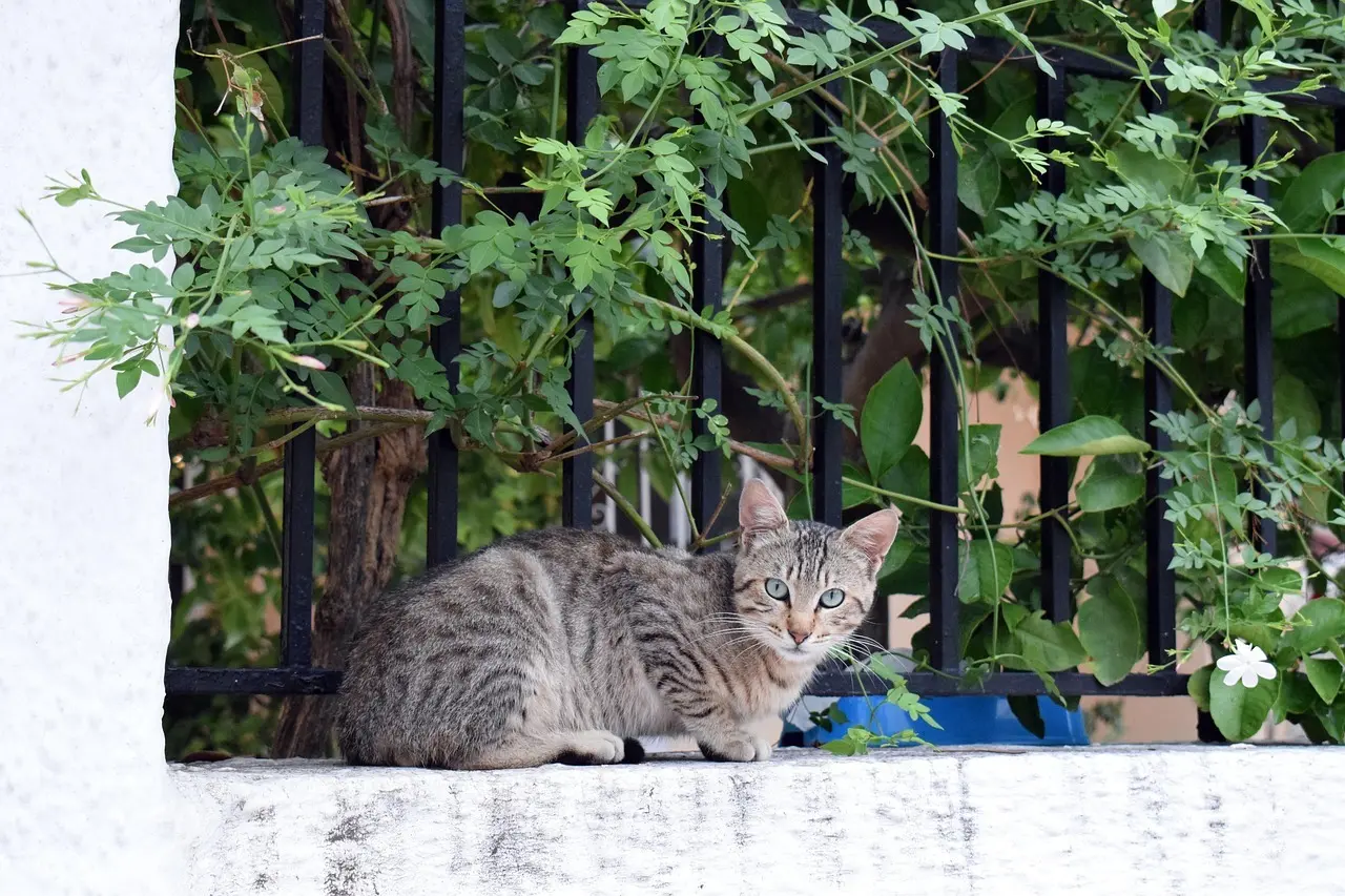 Hvordan er vejret i Athen i september?