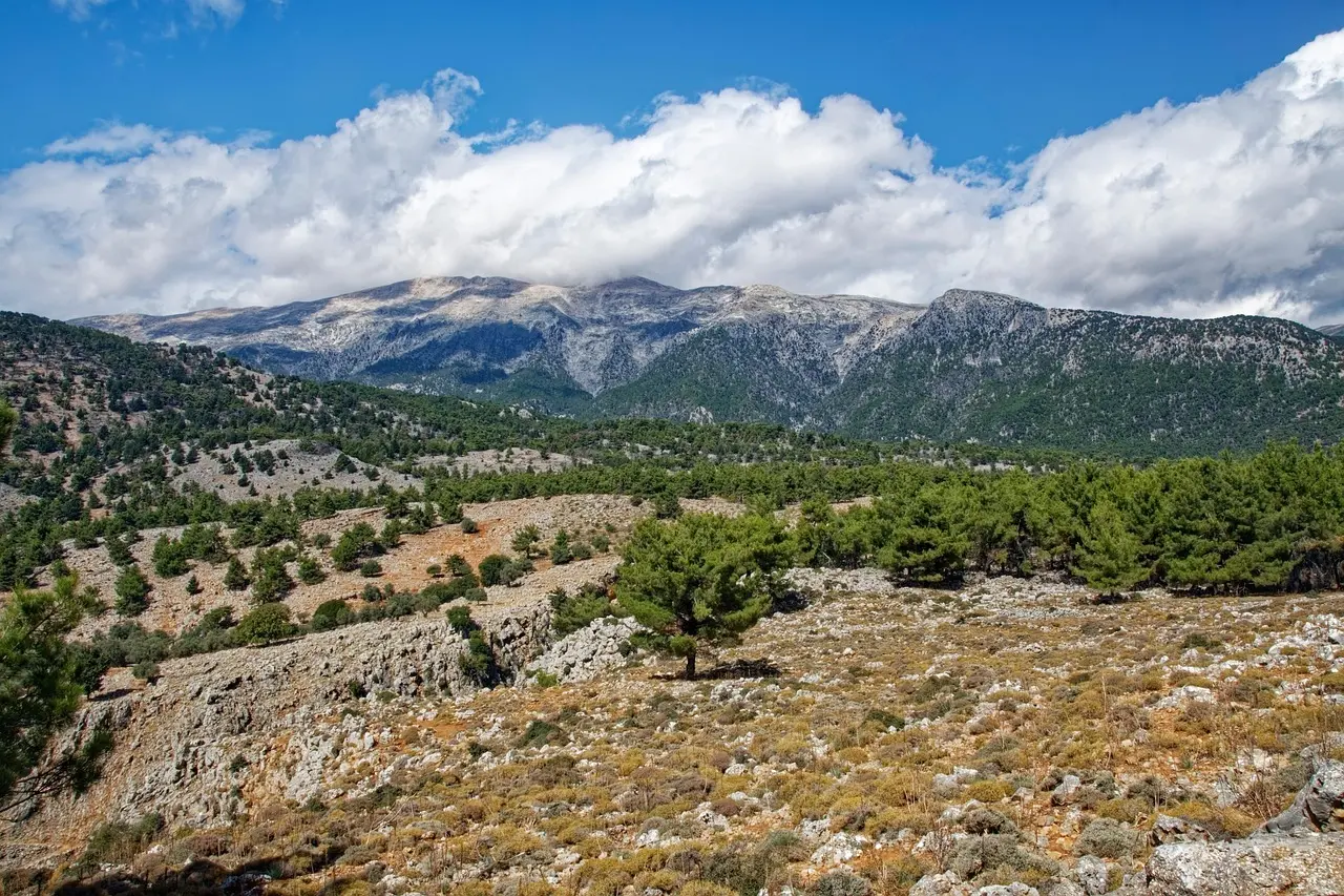 Hvordan er vejret i Kreta i uge 29?